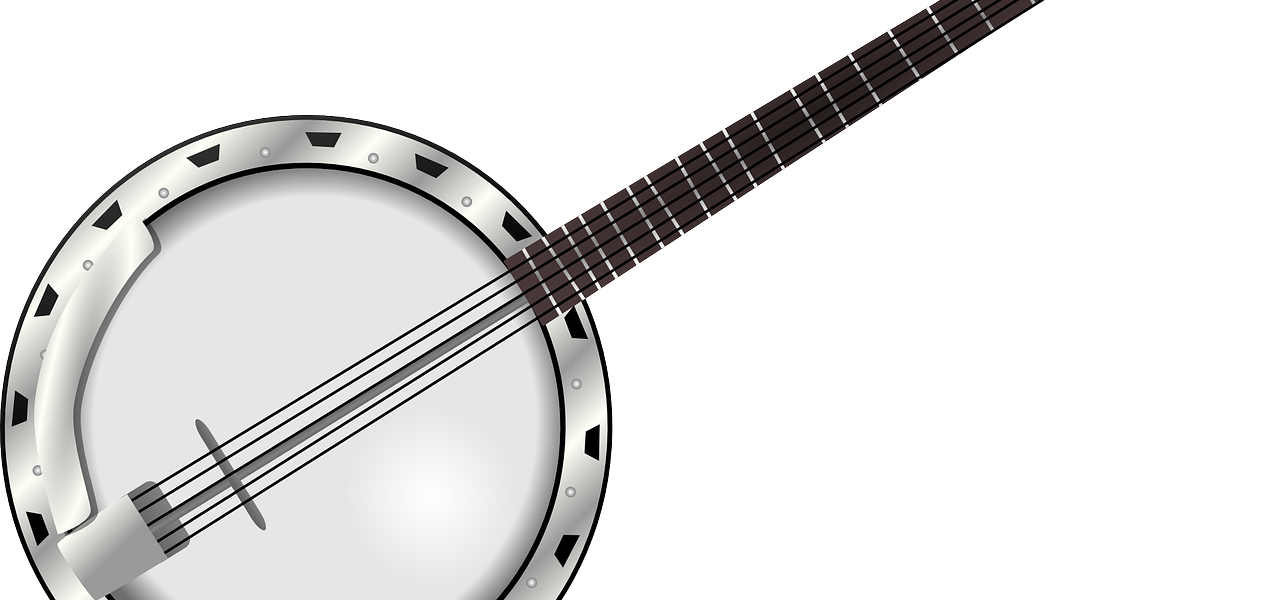 How Many Strings Does a Banjo Have