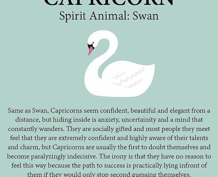 Capricorn Spirit Animal