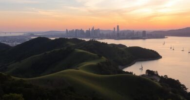 yerba buena island