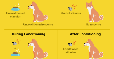 Classical Conditioning Examples