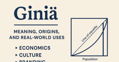 Giniä meaning, origins, and uses in economics, culture, and branding