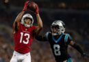 Cardinals vs Panthers action scene